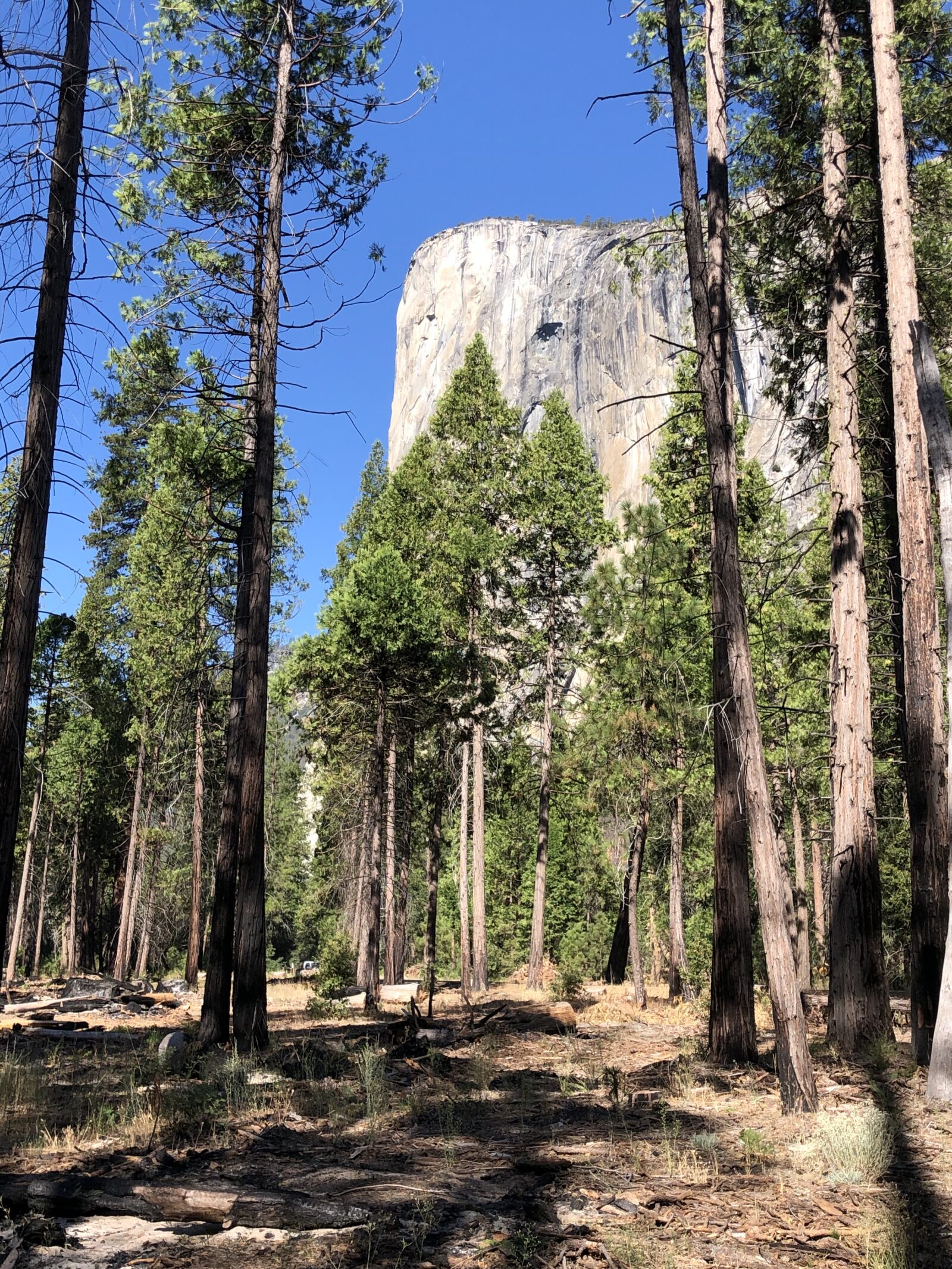 El Capitan, Yosemite, 2019