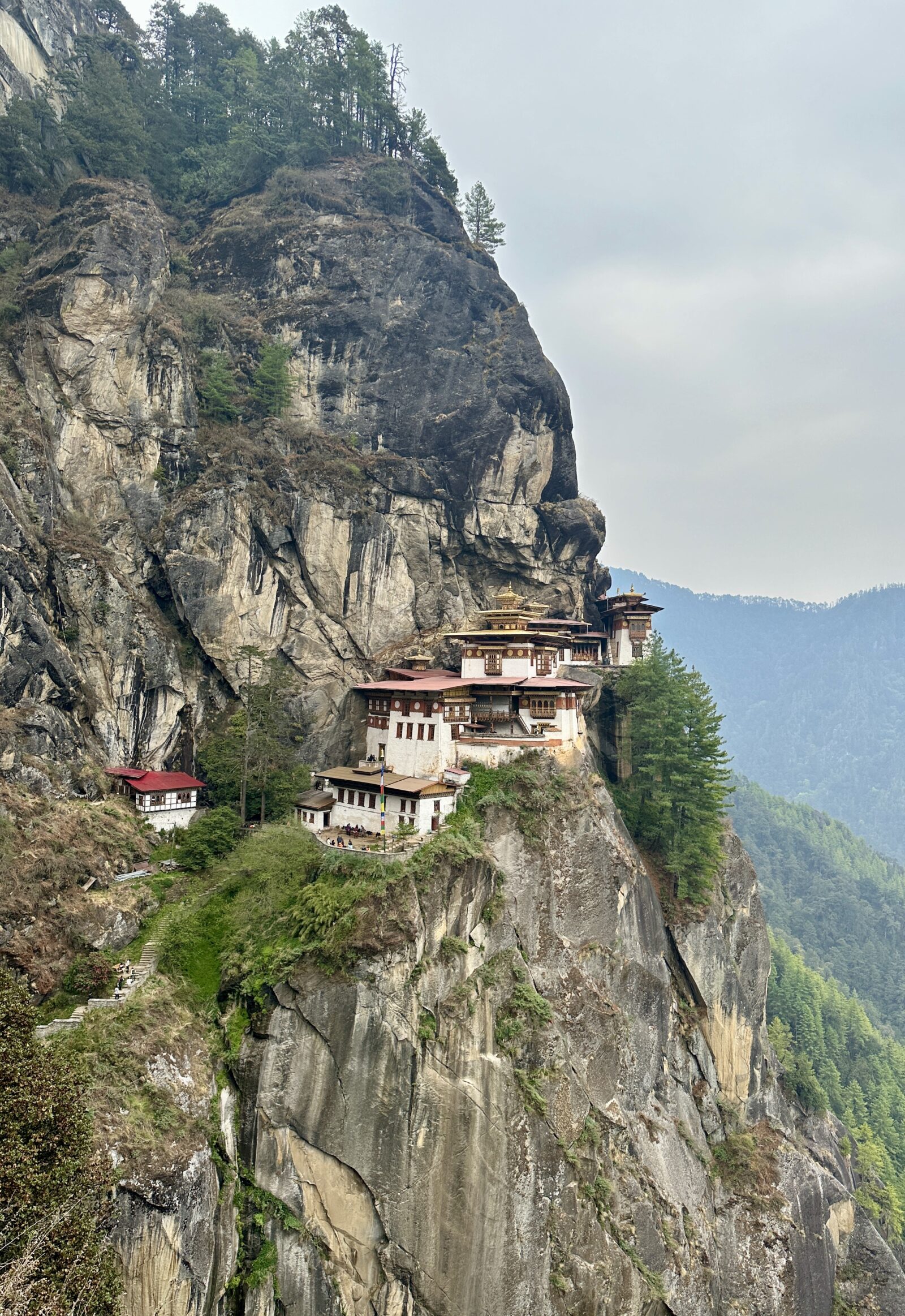 Tigers nest, Bhutan, 2024