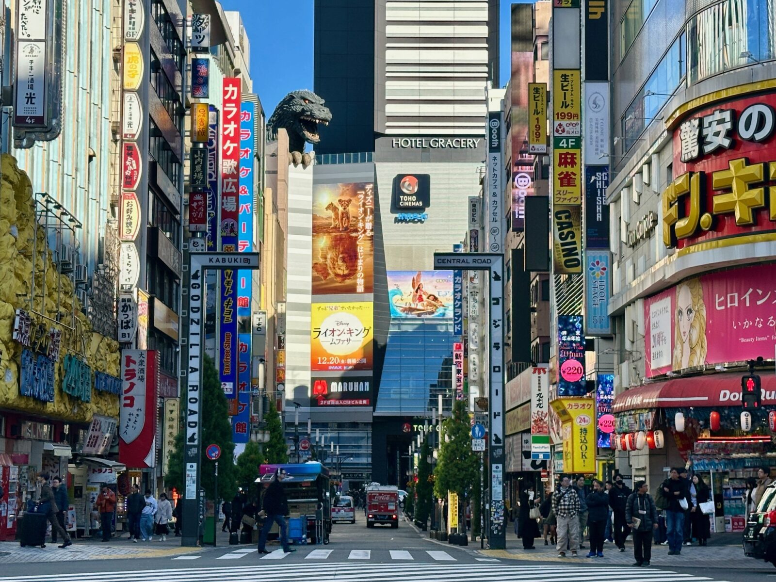 Shinjinku, Tokyo, December 2024