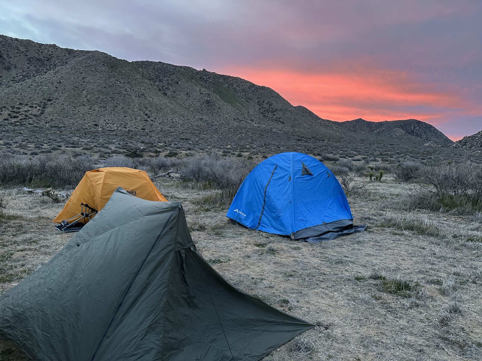 Joshua Tree Backpacking February 2026